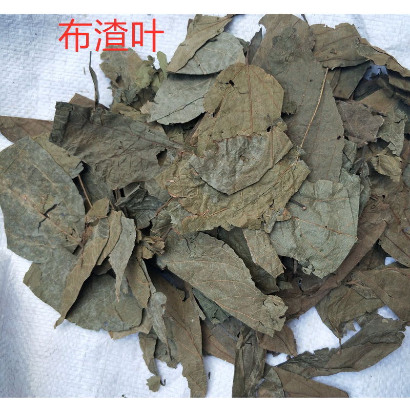筛选布渣叶500克破布叶麻布叶烂布渣薢宝叶山茶叶500克15元包邮