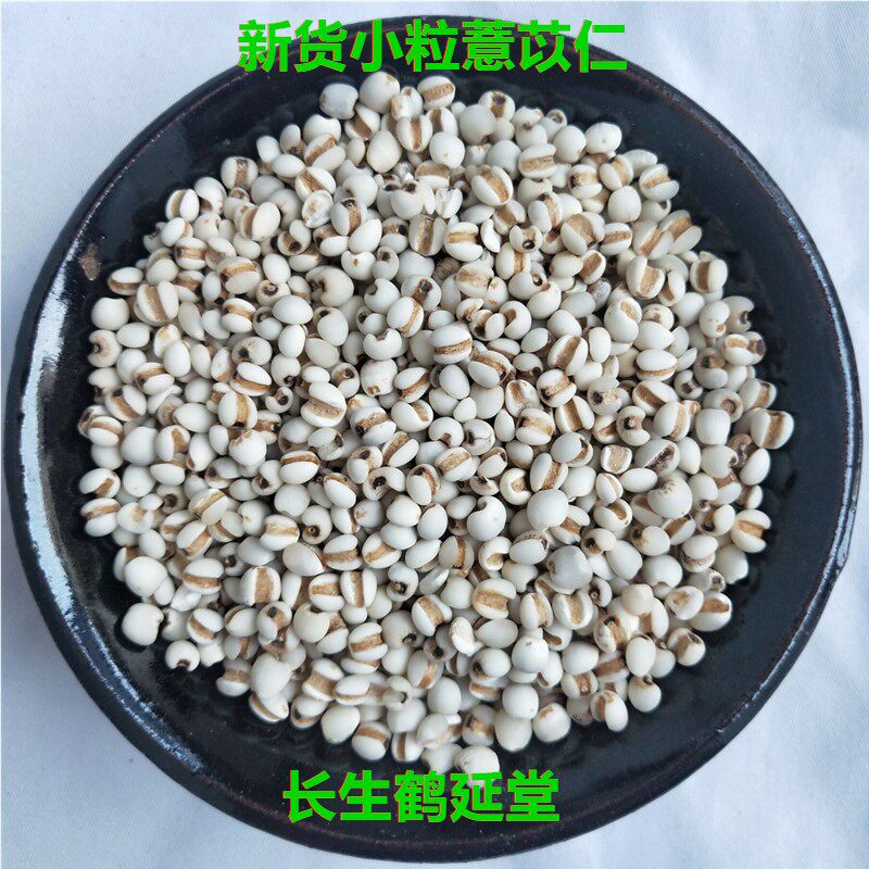 薏米仁中药材包邮小薏米薏苡仁