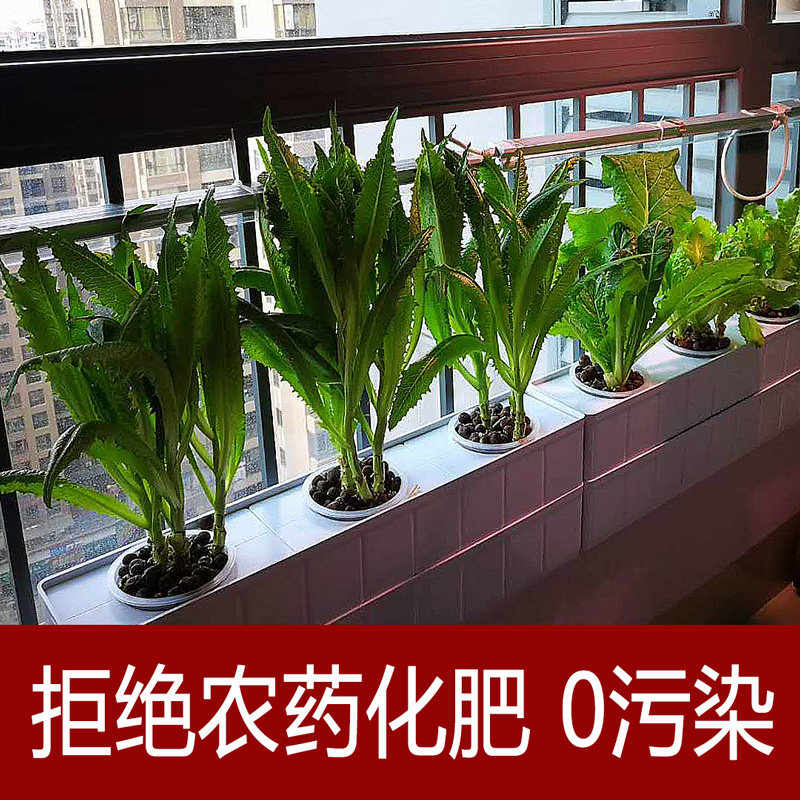 无土栽培黄瓜水培蔬菜家庭室内阳台种菜神器智能箱自动管道式设备怎么看?
