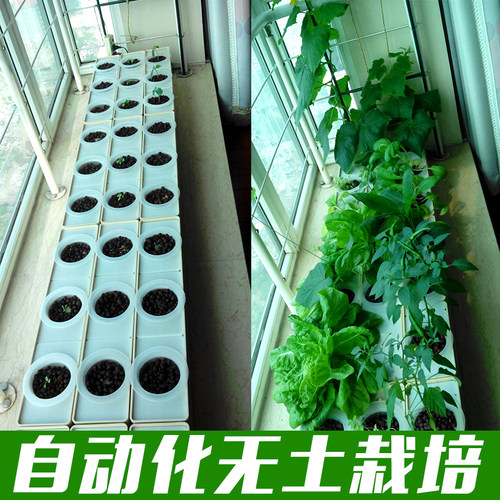阳台种蔬菜水培设备家庭室内种植机水耕神器无土栽培懒人自动花盆 - 封面