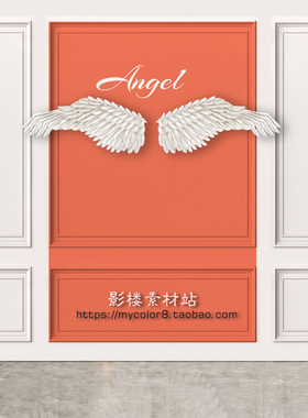 mycolor8影楼摄影网红主 直播间背景 壁纸壁画翅膀大图23-108