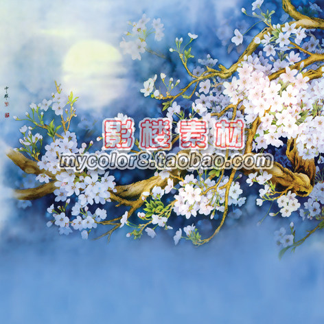 mycolor8 婚纱 影楼摄影背景 盘子女人 古装背景 素材大图16-315