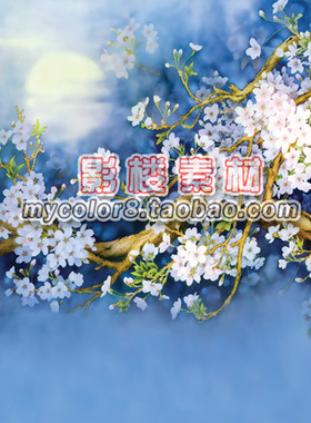 mycolor8 婚纱 影楼摄影背景 盘子女人 古装背景 素材大图16-315
