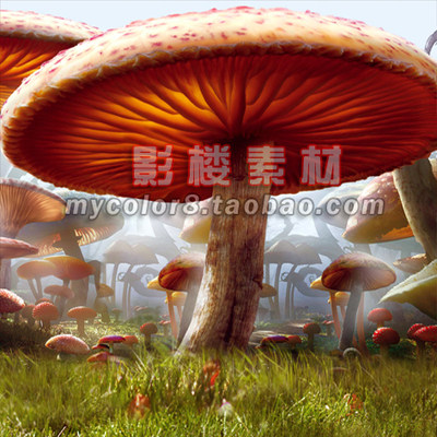 mycolor8 PS 婚纱 影楼摄影背景 魔幻6D背景 素材图片大图16-255