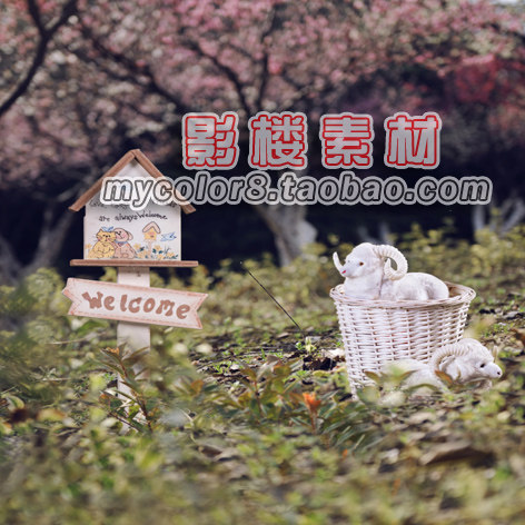 发QQ邮箱的一张JPG格式的大图