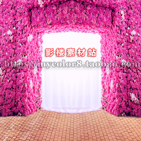 mycolor8 2017 婚纱 影楼摄影背景 花墙背景 主题 素材图片17-67