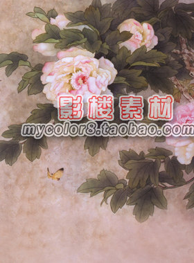 mycolor8 婚纱 影楼摄影背景 盘子女人 古装背景 素材大图16-321