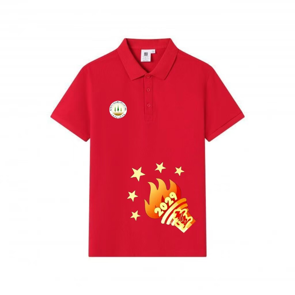2026夏季短袖POLO衫秋夏款翻领标准T恤衫纯色文化衫校园礼服图案