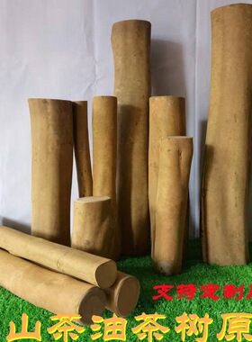 原木油茶木山茶木油茶树木料大直径工艺品料雕刻料子料 diy