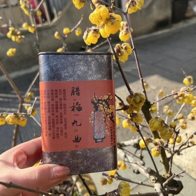 龙井红茶九曲红梅腊梅红茶