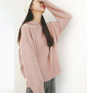 上衣针织衫 EAL羽迹2025春季 纯色毛衣女连帽抽绳长袖 女装 A211 新款