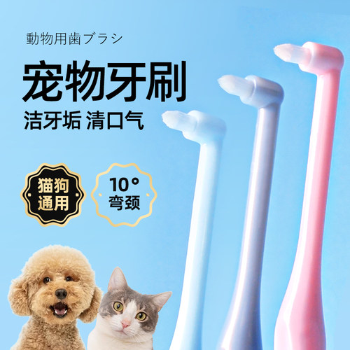SmileMaker小尖头单束猫咪牙刷