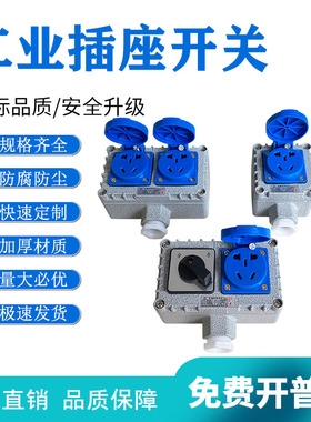 工业插座开关 明装220V 10A五孔十孔 防爆无火花插座插头 BQM开关