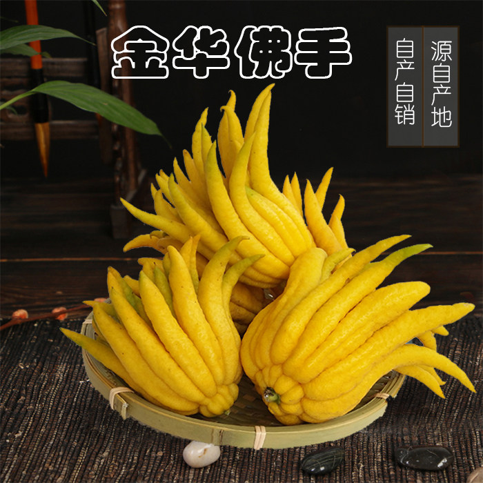 金华新鲜佛手柑佛手果食用佛手瓜佛手香橼清供观赏把玩小佛手果