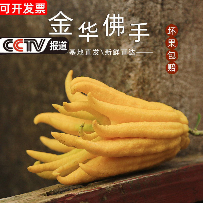 金华新鲜佛手食用佛手果佛手柑佛手瓜香橼清供观赏小佛手现摘现发