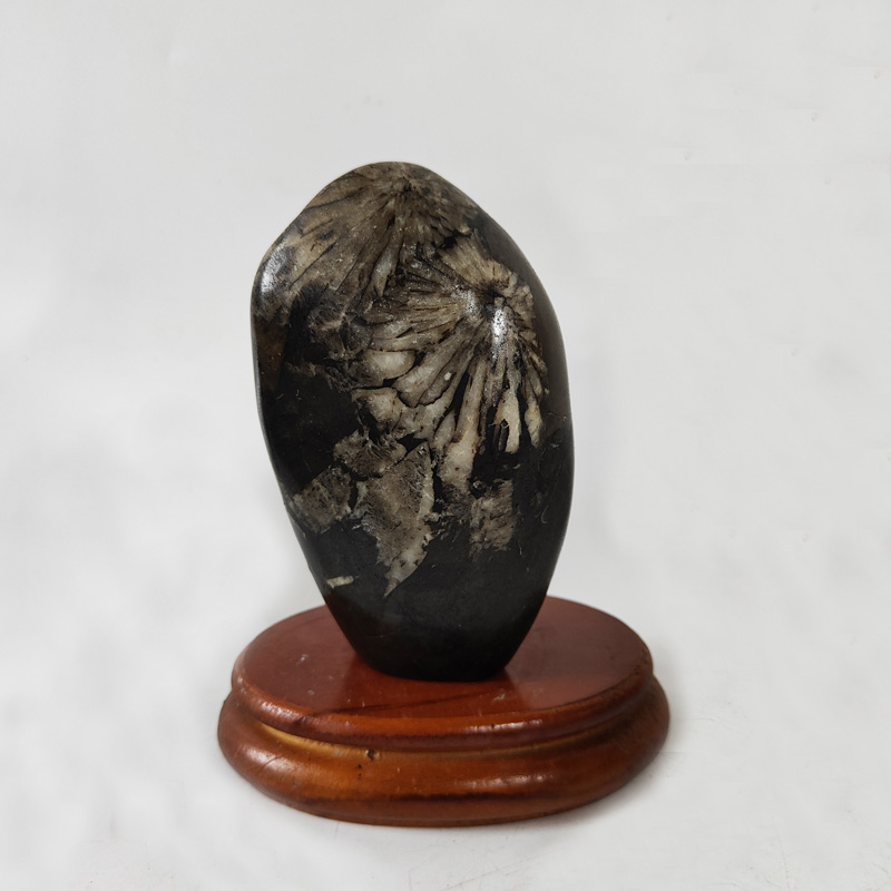 天然菊花石雕奇石原石原创手工艺术品观赏新中式桌面摆件平安送礼