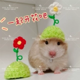 [Дом Торт Вейхуа] Цветочная шляпа, Золотой шелковый медвежь
