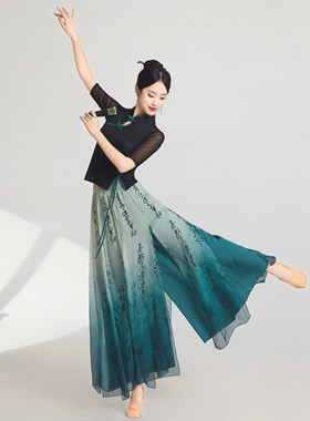 新款古典舞蹈演出服身韵纱衣中国舞练功服表演服国风舞蹈演出服