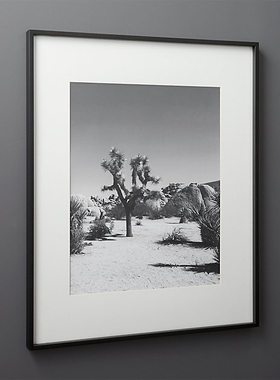 a4新款青枝铝合金画廊相框简约无酸装裱收藏保护级黑色银色a3a2