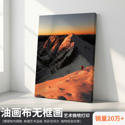现代简约雪山风景无框装饰画