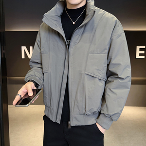 2025年冬男微宽松立领标90工装式羽绒服A230-95710-P220(控320)图片