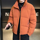 2025年冬男款修身立领标90白鸭绒羽绒服A230-1142-P248(控349)，男装羽绒服，电商A230