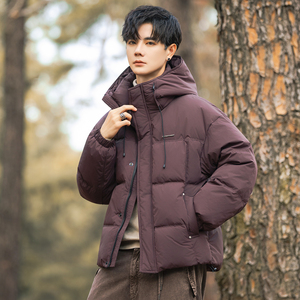 2025冬男微宽松连帽新标50白鸭绒羽绒服A230-25806-P228(控328)图片