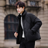 2025冬男微宽松假两件立领标90羽绒服A230-991-P348(控488)，男装羽绒服，电商A230