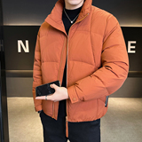 2025年冬男款修身立领标90白鸭绒羽绒服A230-1142-P248(控349)，男装羽绒服，电商A230