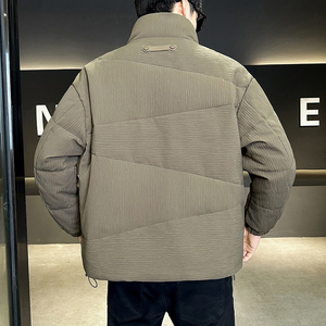 2025冬季男款微宽松立领3D立体面料羽绒服A230-6853-P195(控285）