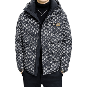 2025年冬男微宽松连帽全身字母印花羽绒服A230-88251-P248(控348)图片