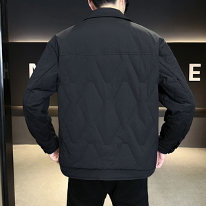 2025冬男修身新标50%白鸭绒轻薄羽绒服A230-6665-P165（控238）图片