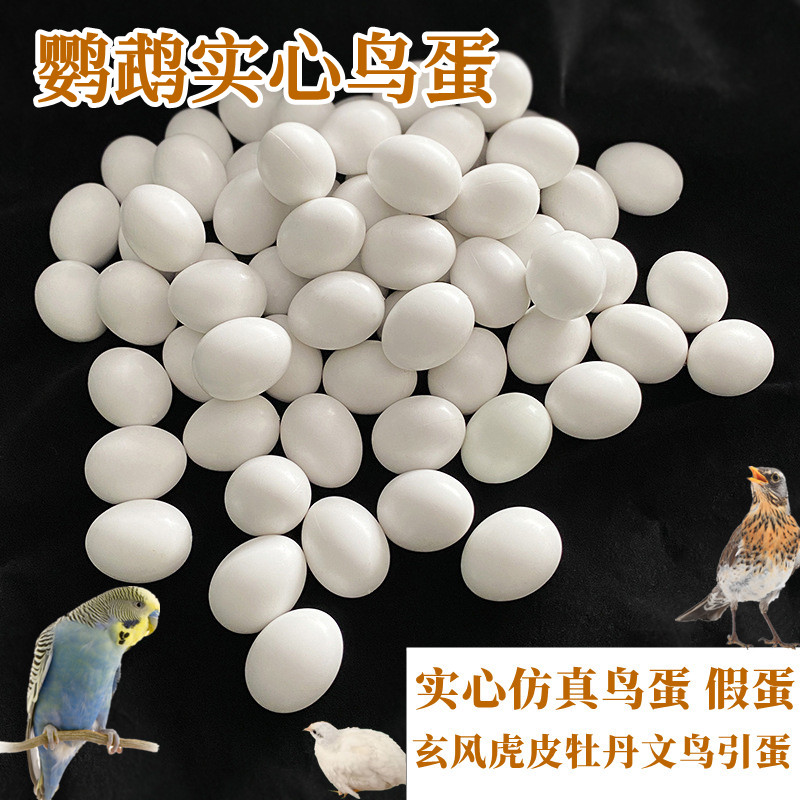鹦鹉假蛋鸟类鹦鹉仿真实心蛋