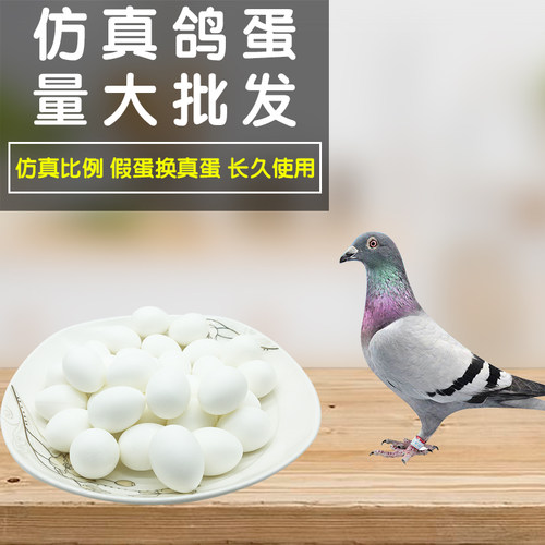 鸽子用品仿真注水假蛋实心塑料