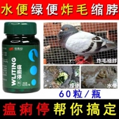 心连心鸽药瘟痢停胶囊60粒 信鸽大量饮水爪子发热肠道