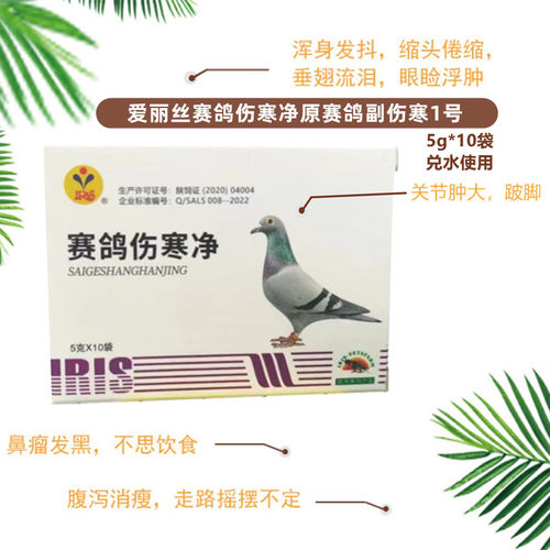 爱丽丝赛鸽伤寒净鸽子副伤寒1号