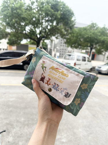 日单迪士尼彼得潘卡通周边可爱化妆包手拿包收纳包笔袋随身小物包