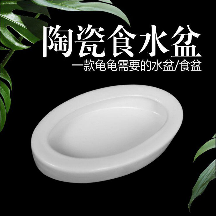 陶瓷大麦虫防逃脱爬宠蜥蜴鬃狮