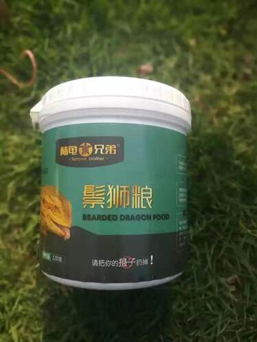 陆龟兄弟鬃狮蓝舌素食蜥蜴