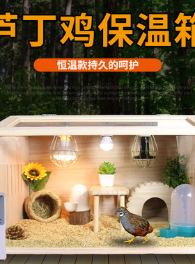 芦丁鸡饲养箱专用笼原木亚克力发酵床别墅养仓鼠鹌鹑雏鸟60基础笼