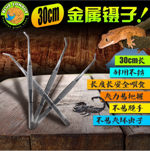 爬虫昆虫蟋蟀杜比亚蟑螂镊子夹粪便镊子蜥蜴蜘蛛喂食弯头镊子