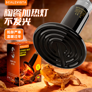爬宠陶瓷加热灯虫陆乌龟守宫鬃狮鸟蜘蛛蜥蜴红外线保温加取暖UVA