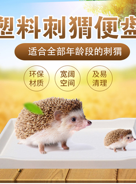 刺猬便盘陆龟泡澡盆爬宠食盆刺猬托盘食盘便盆宠物托盘澡盆