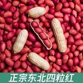 2025年东北四粒红花生红皮花生米新货农家红衣花生米仁3斤5斤10斤