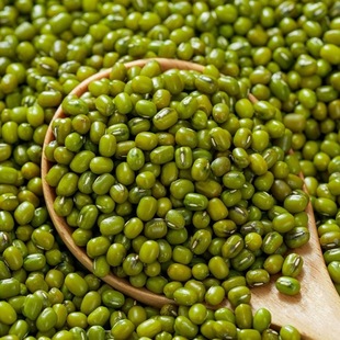 2025年东北笨绿豆新绿豆绿豆汤绿豆粥绿豆芽绿豆糕粗粮笨绿豆