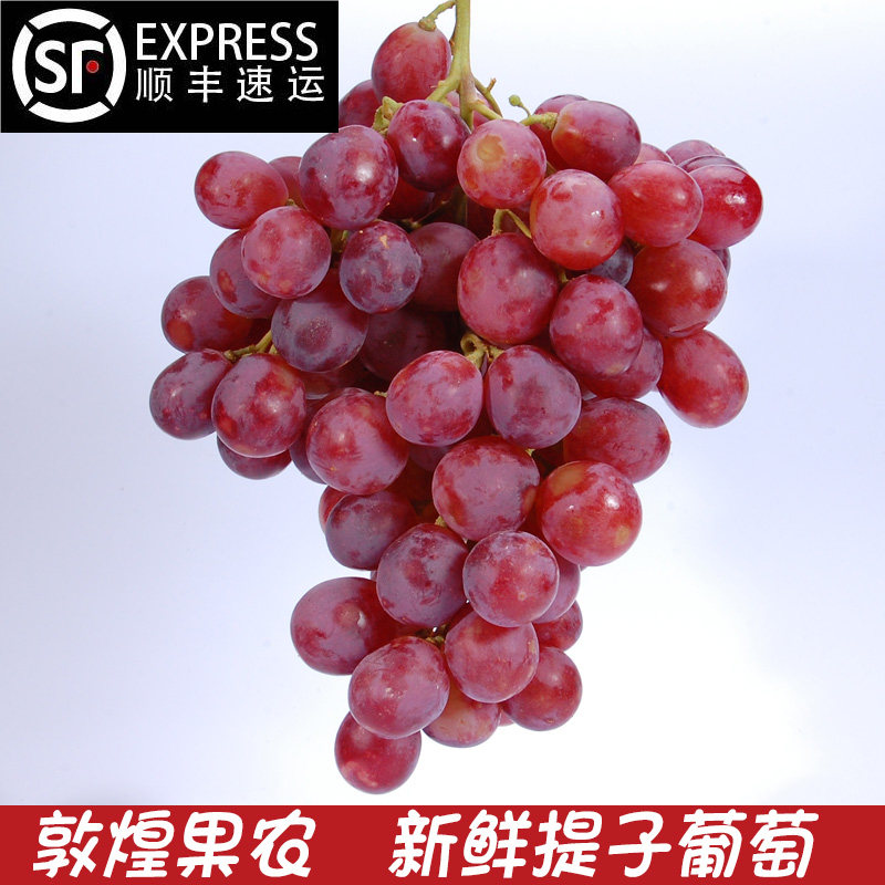 敦煌阳关葡萄美国红提提子5斤有籽新鲜葡萄现摘提子