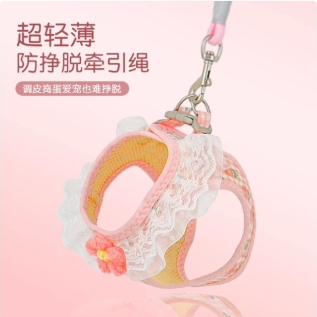 猫咪牵引绳防挣脱外出专用可爱背心式溜猫胸背带可调节宠物遛猫绳
