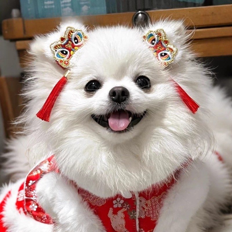 狗狗发夹新年宠物头饰不掉过年发卡比熊喜庆夹子发饰猫咪配饰,宠物/宠物食品及用品,发饰/头饰,淘宝优惠券,粉丝福利购,淘宝优惠卷