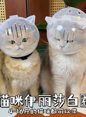 猫咪伊丽莎白圈幼猫成猫通用剪指甲上药头套防舔防咬球形太空头罩