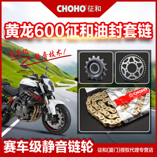 油封链条配件 静音链盘齿轮征和正品 适用贝纳利黄龙BJ600 黄巡600